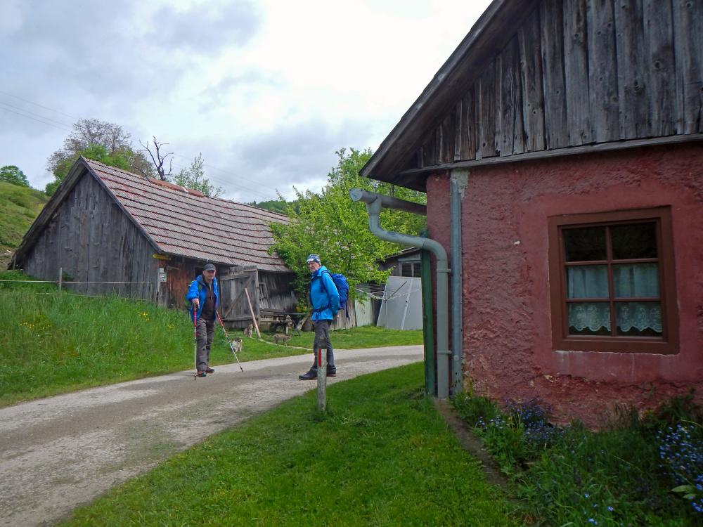 Frankenfelsberg (71 Bildaufrufe)