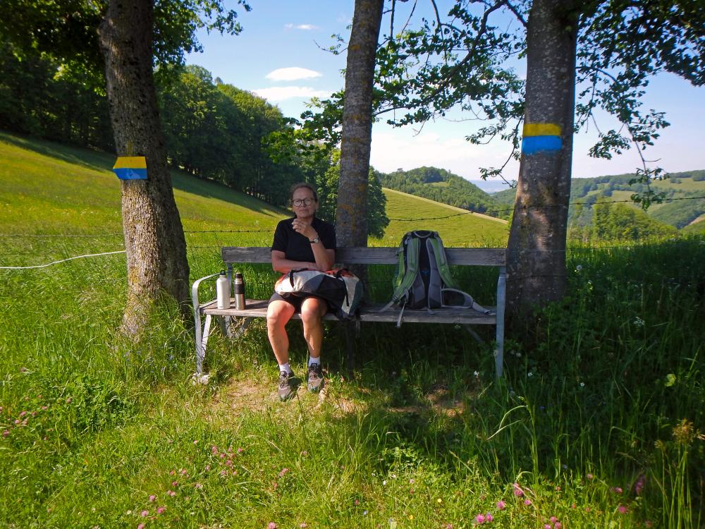 Gaisbühel (89 Bildaufrufe)