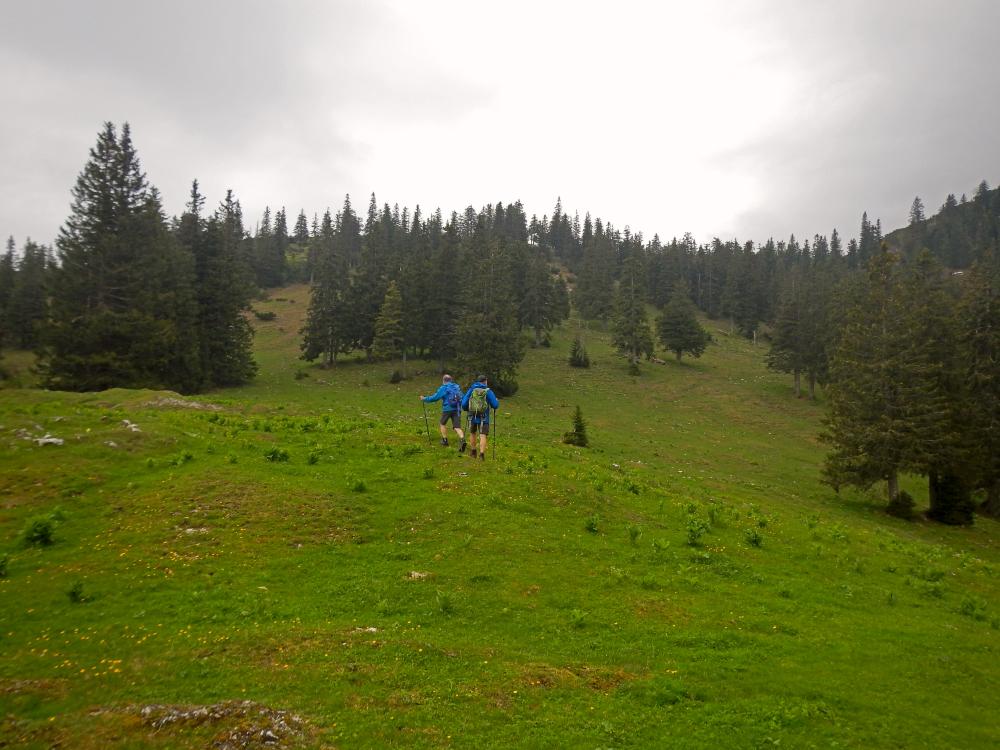 Ringkogel (92 Bildaufrufe)
