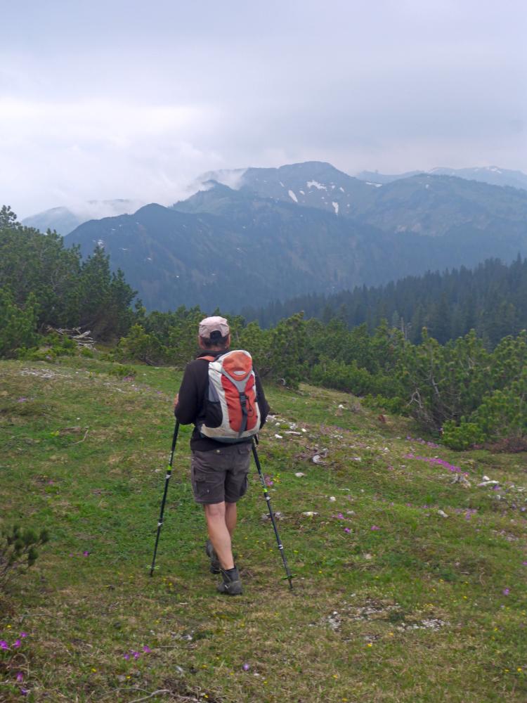 Ringkogel (69 Bildaufrufe)