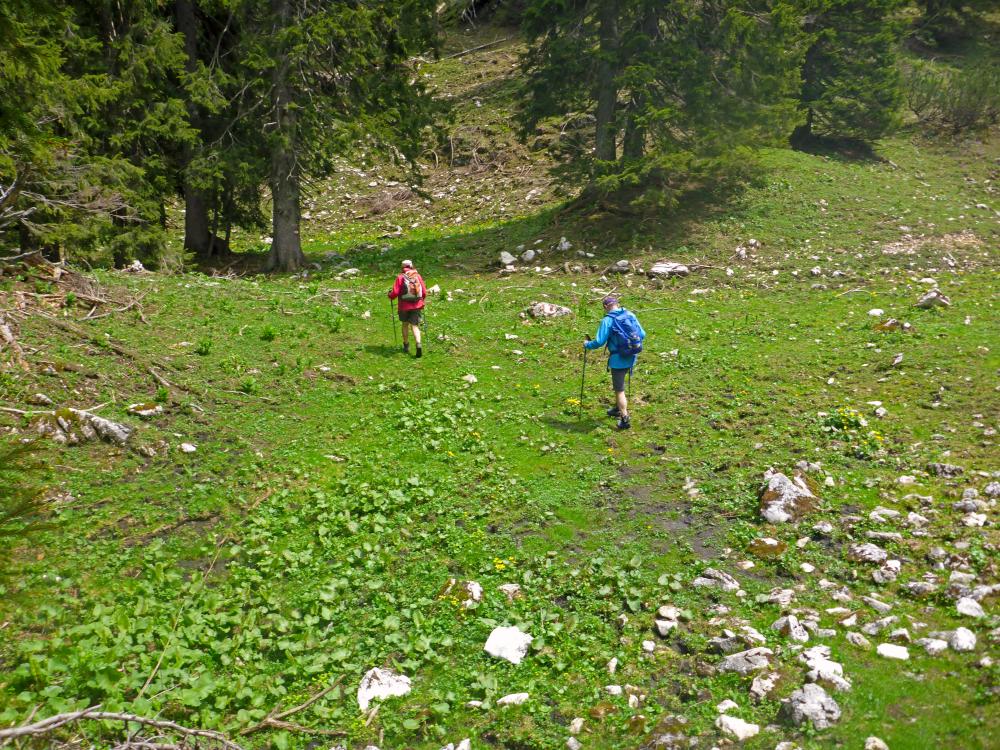 Ringkogel (77 Bildaufrufe)