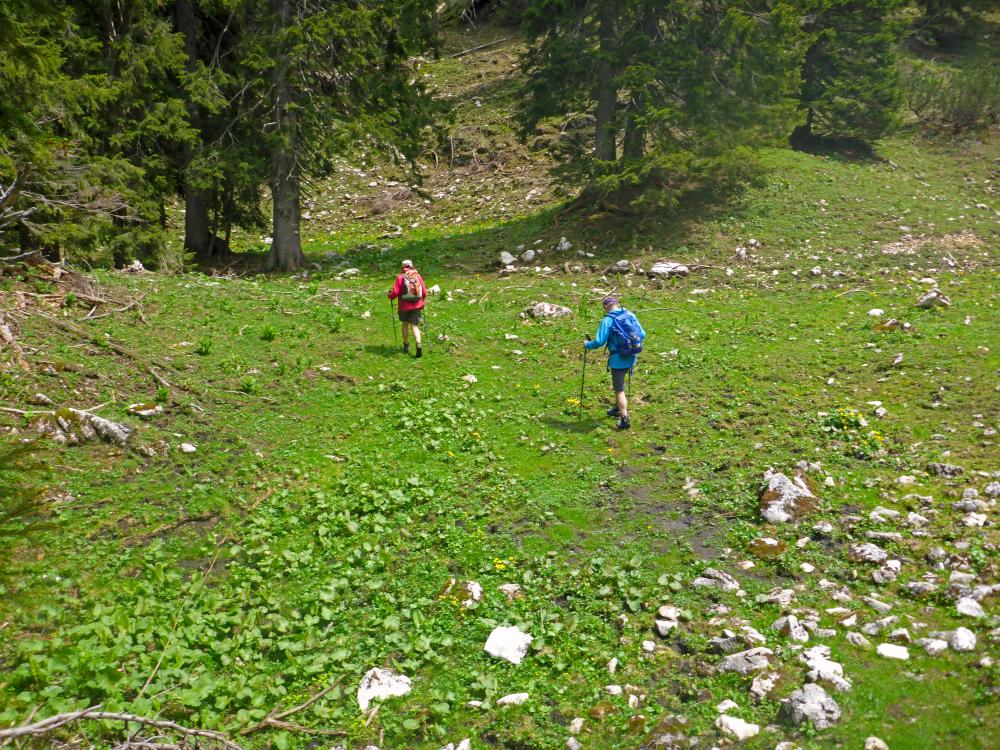 Ringkogel (69 Bildaufrufe)