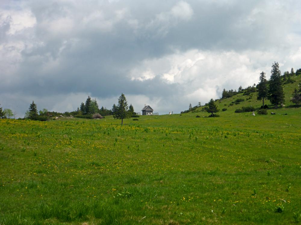 Ringkogel (65 Bildaufrufe)
