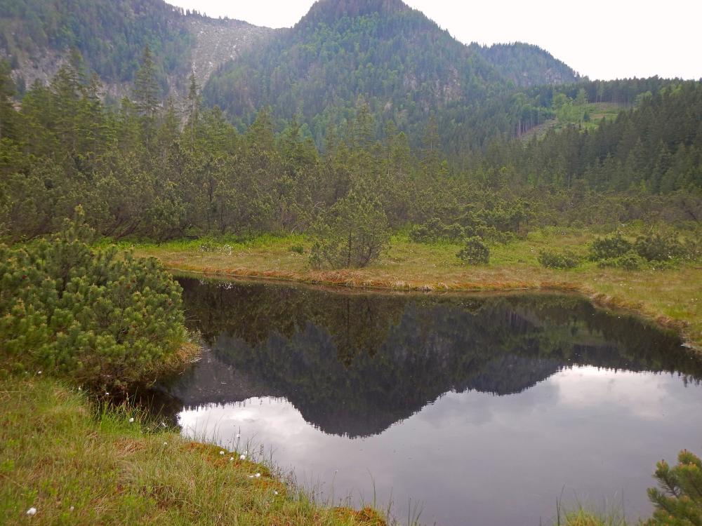 Ringkogel (70 Bildaufrufe)