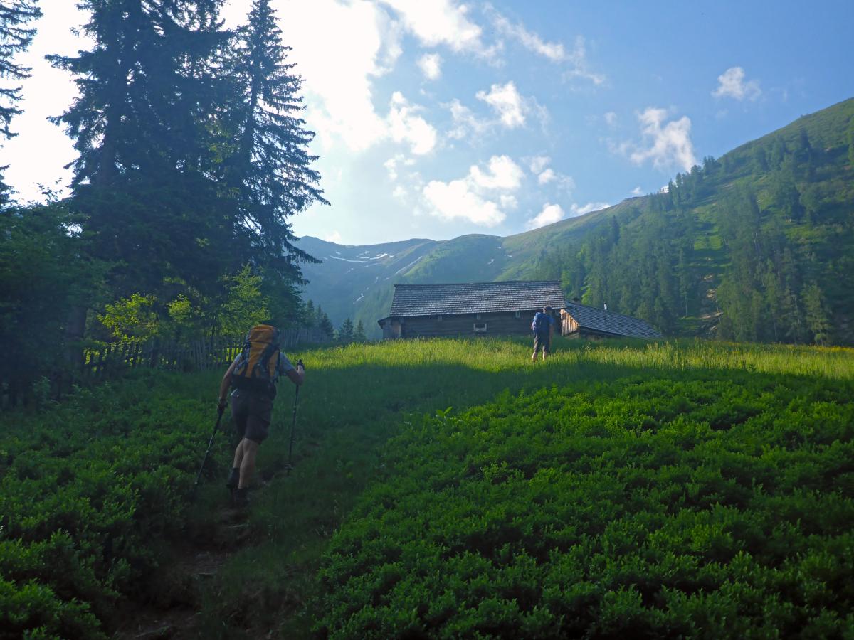 Zeiritzkampel (81 Bildaufrufe)