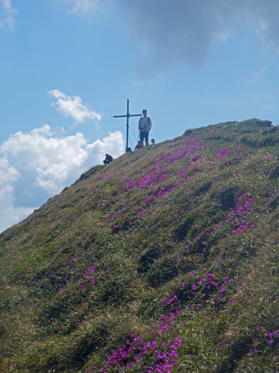 Zeiritzkampel (79 Bildaufrufe)