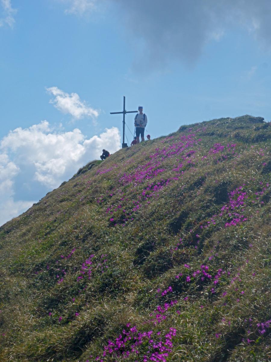 Zeiritzkampel (69 Bildaufrufe)