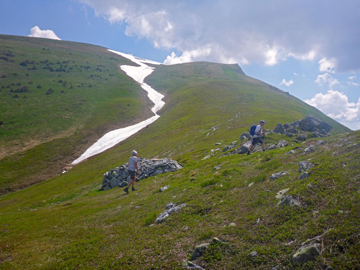 Zeiritzkampel (84 Bildaufrufe)