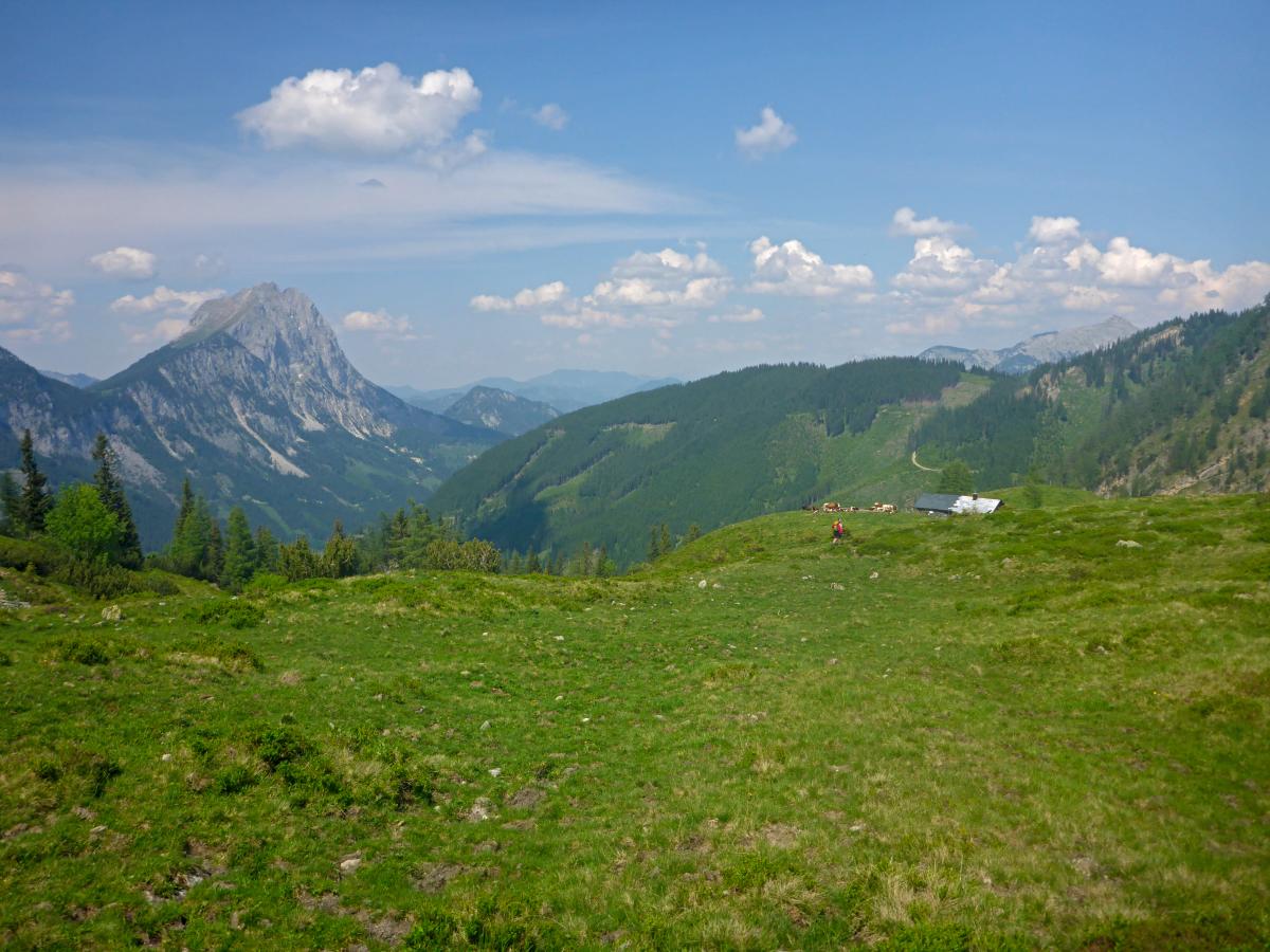 Zeiritzkampel (72 Bildaufrufe)