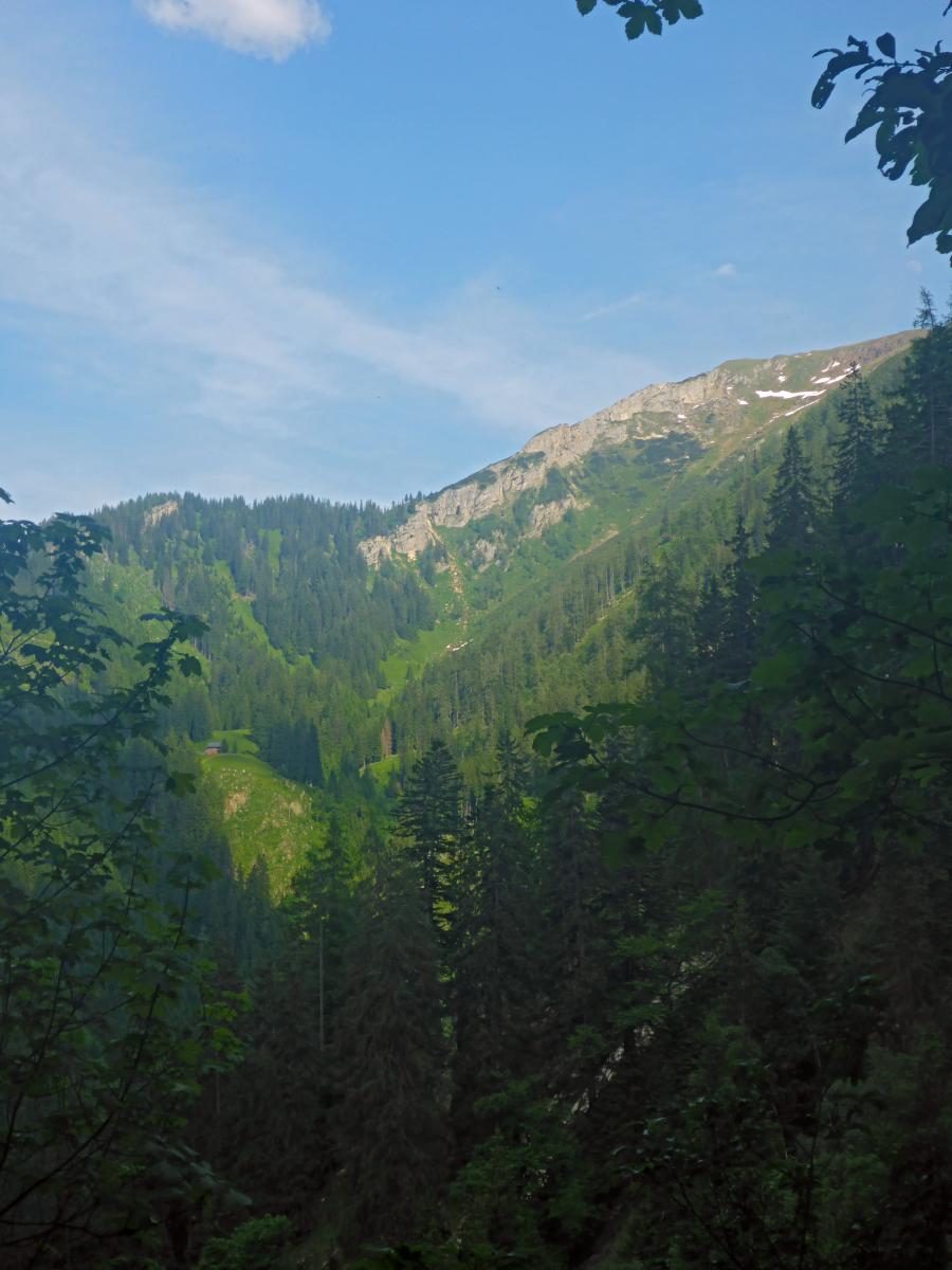 Zeiritzkampel (77 Bildaufrufe)