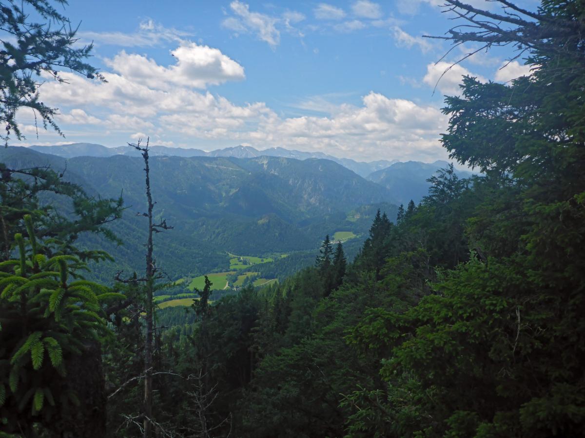 Tribein, Sauwand (106 Bildaufrufe)