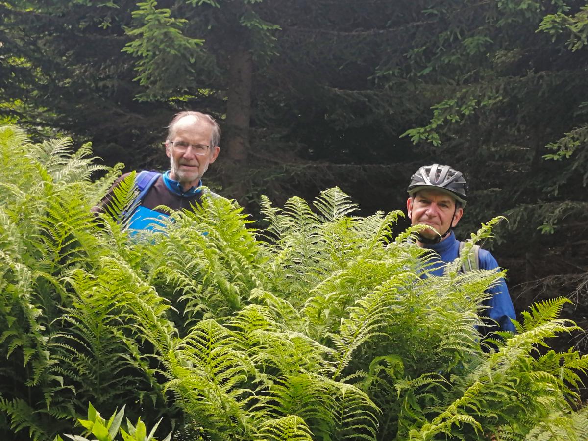 Tribein, Sauwand (104 Bildaufrufe)