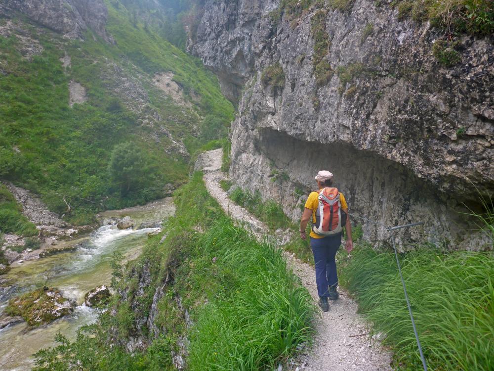 Gr.Eichhorn (86 Bildaufrufe)