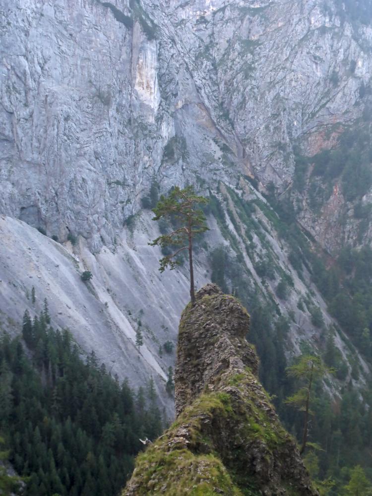 Jakobskogel (64 Bildaufrufe)