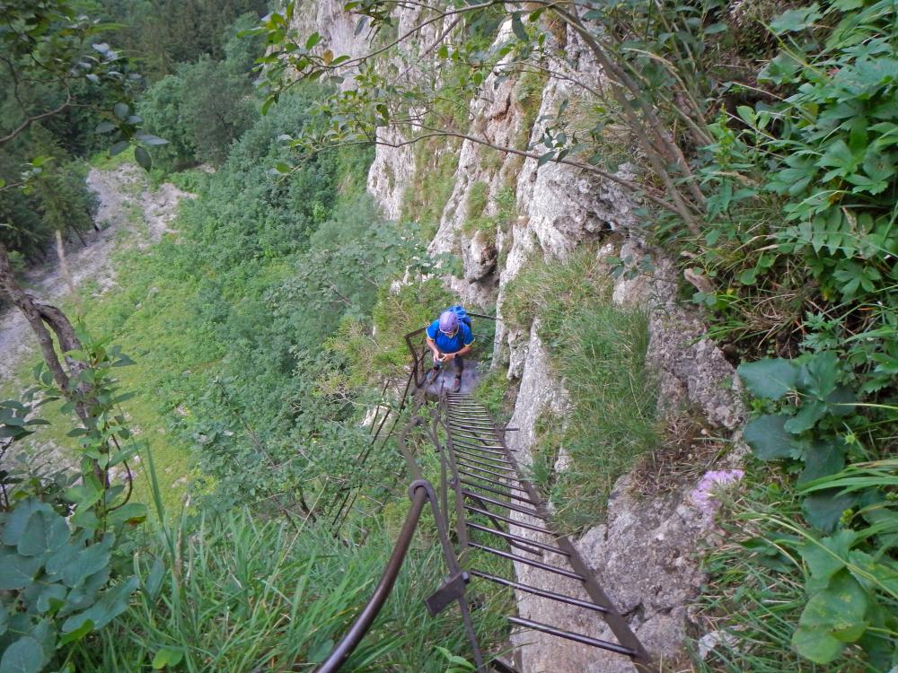 Jakobskogel (65 Bildaufrufe)