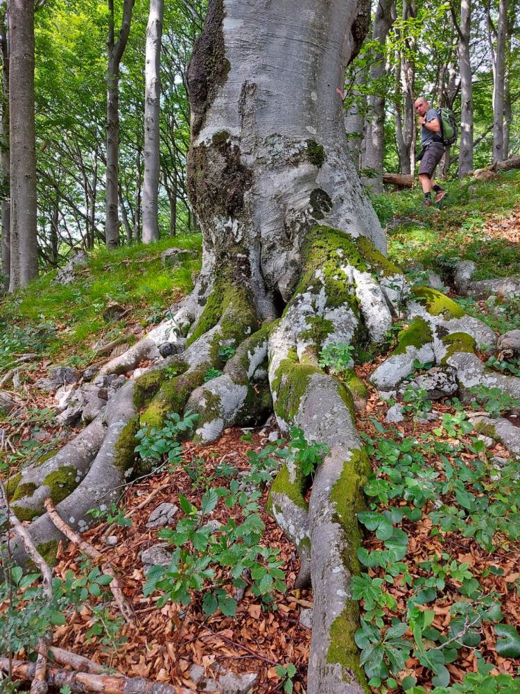 Eisenstein (85 Bildaufrufe)