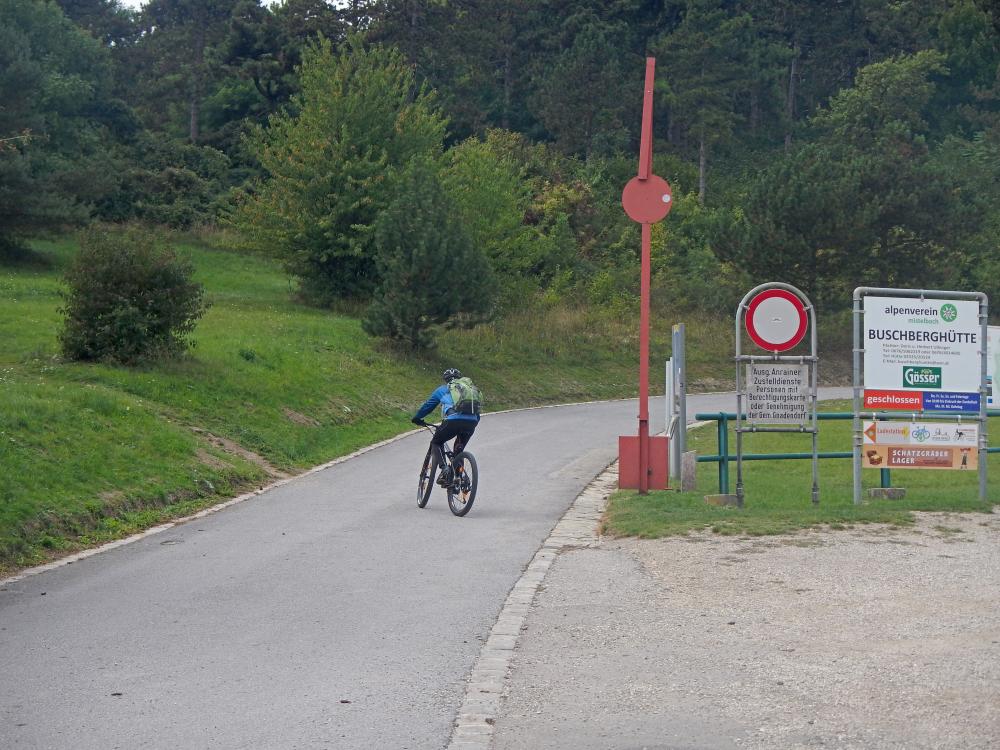Buschberg (47 Bildaufrufe)