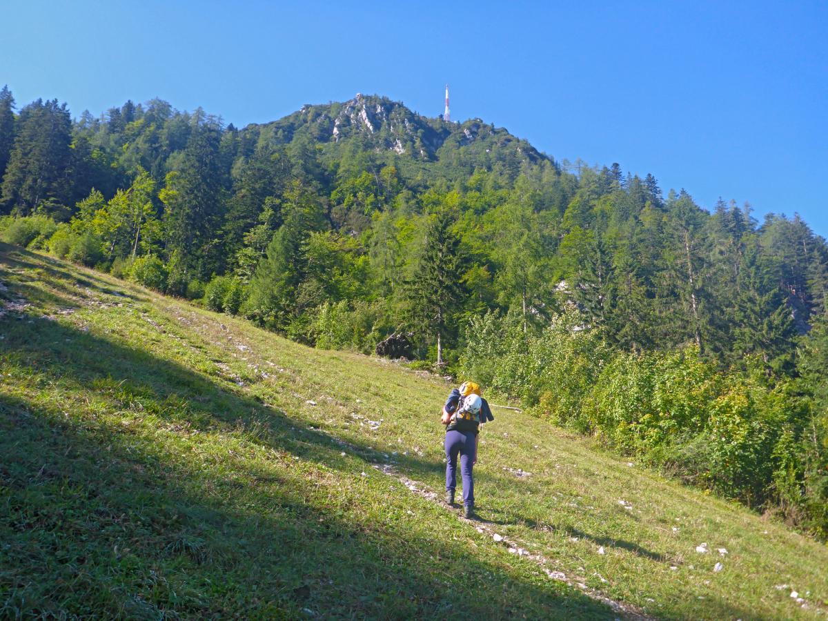 Elferkogel (70 Bildaufrufe)