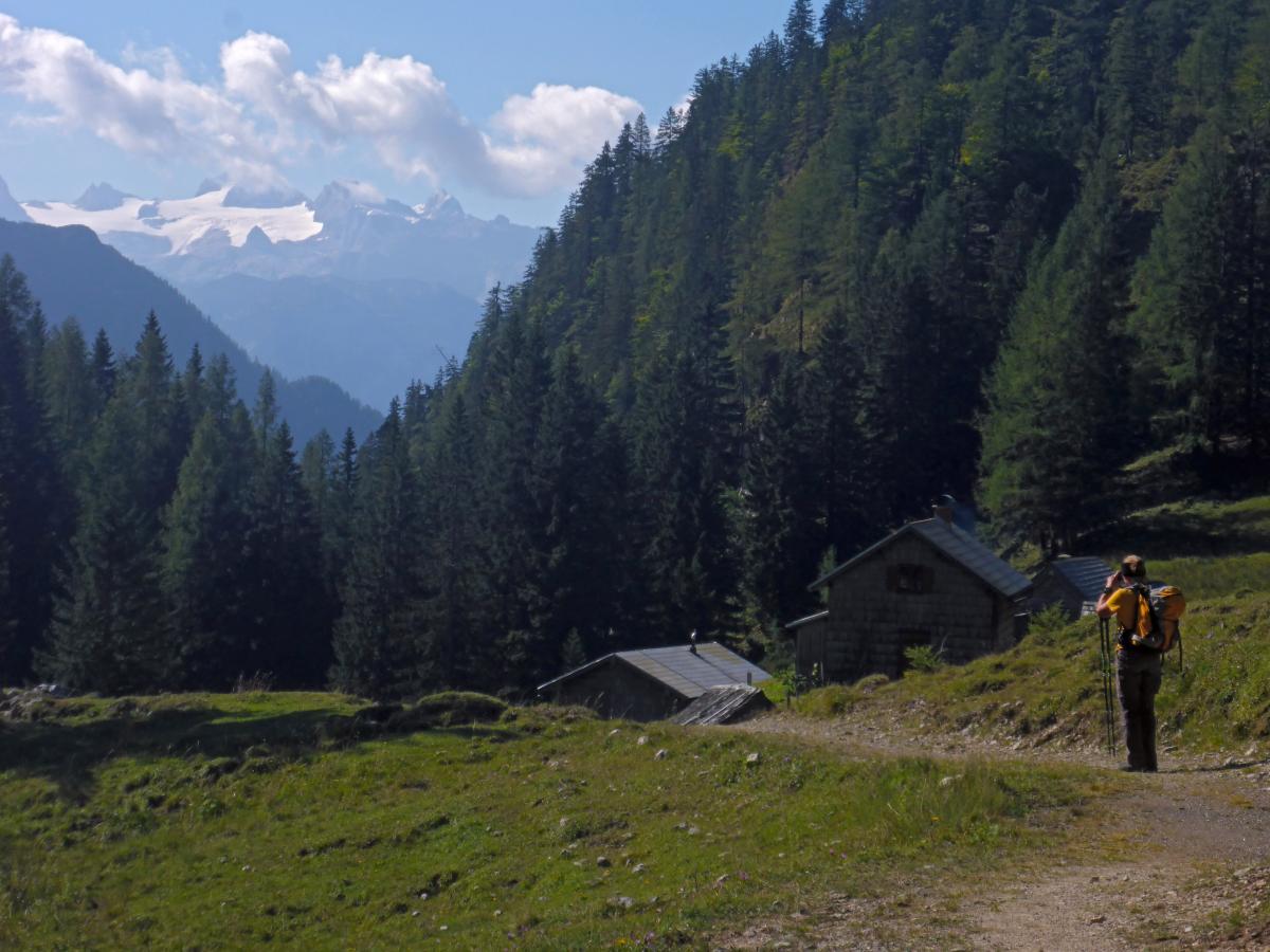 Sandling (60 Bildaufrufe)