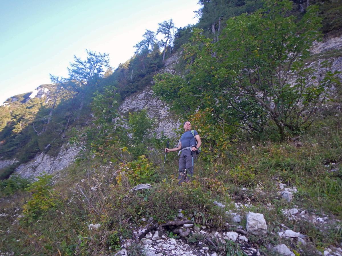 Sandling (64 Bildaufrufe)