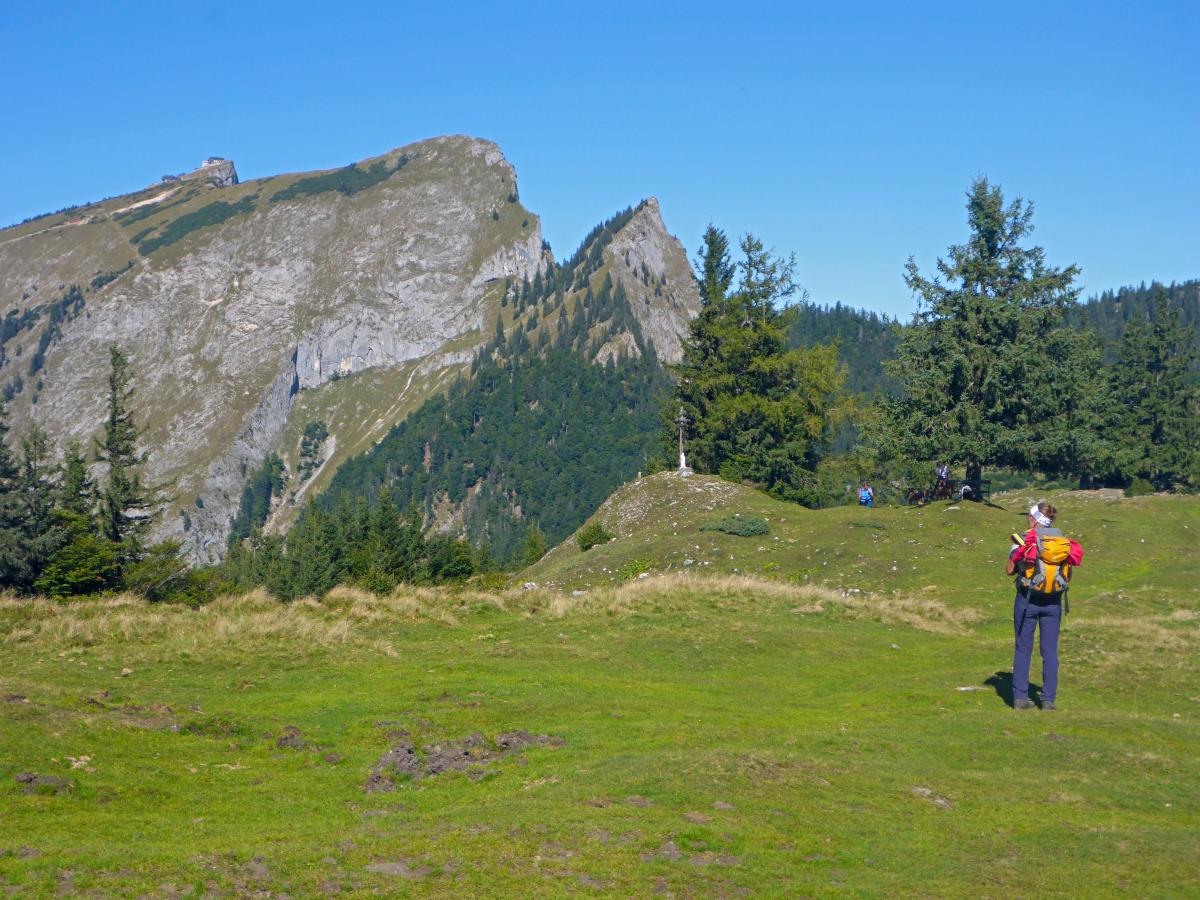 Schafberg (69 Bildaufrufe)