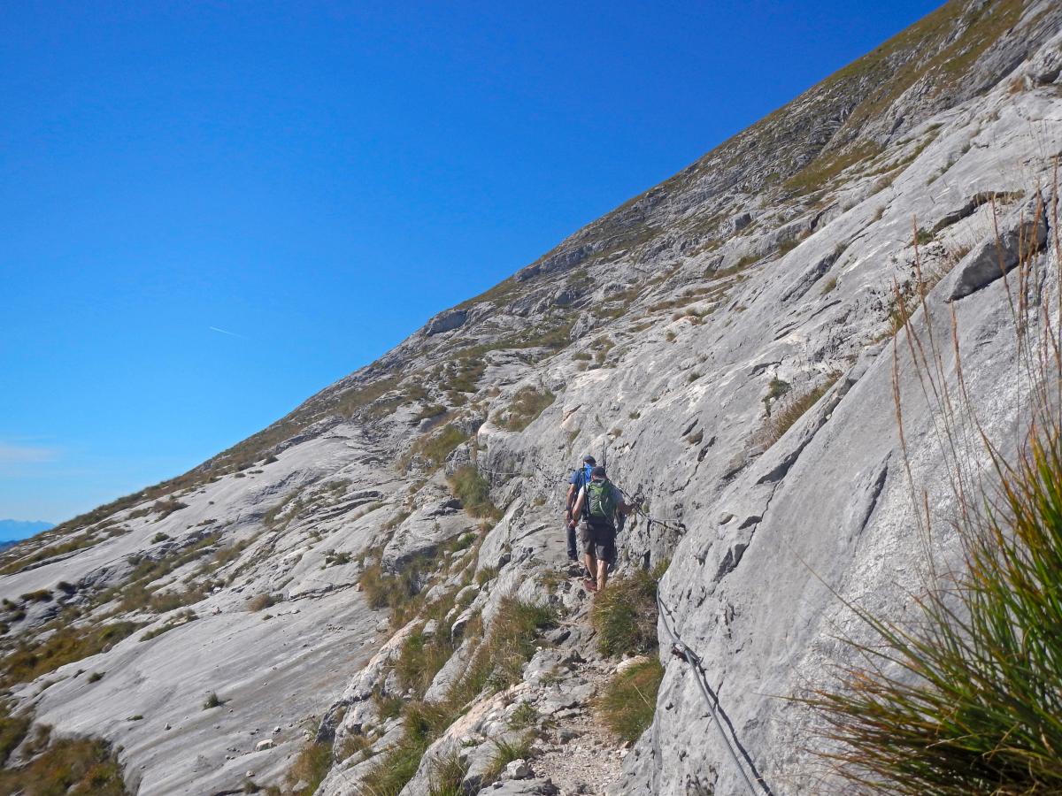 Schafberg (62 Bildaufrufe)