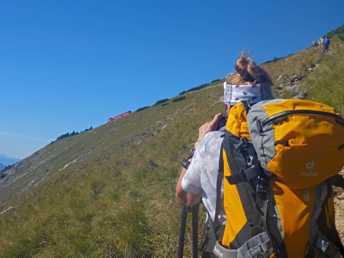 Schafberg (75 Bildaufrufe)