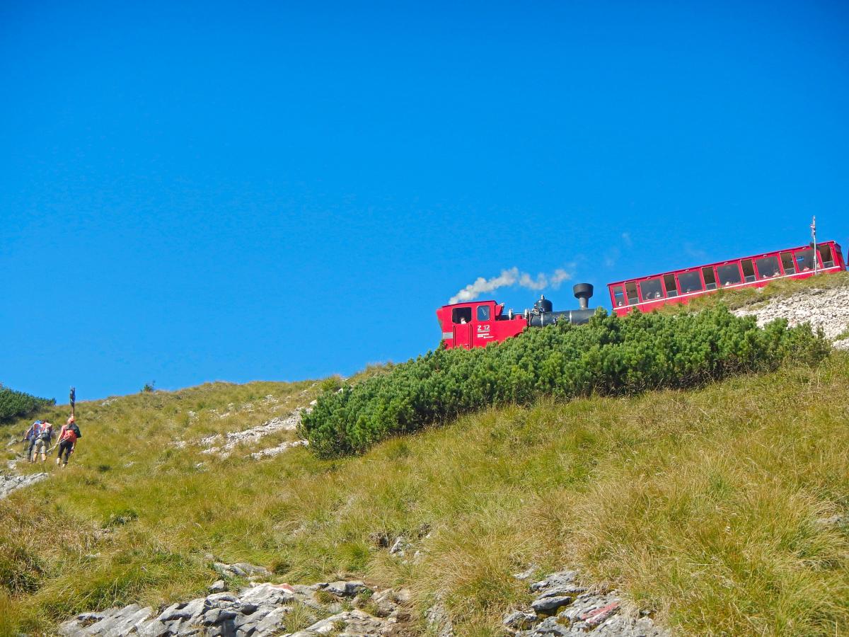 Schafberg (63 Bildaufrufe)