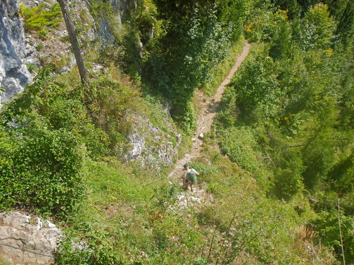 Predigstuhl (67 Bildaufrufe)