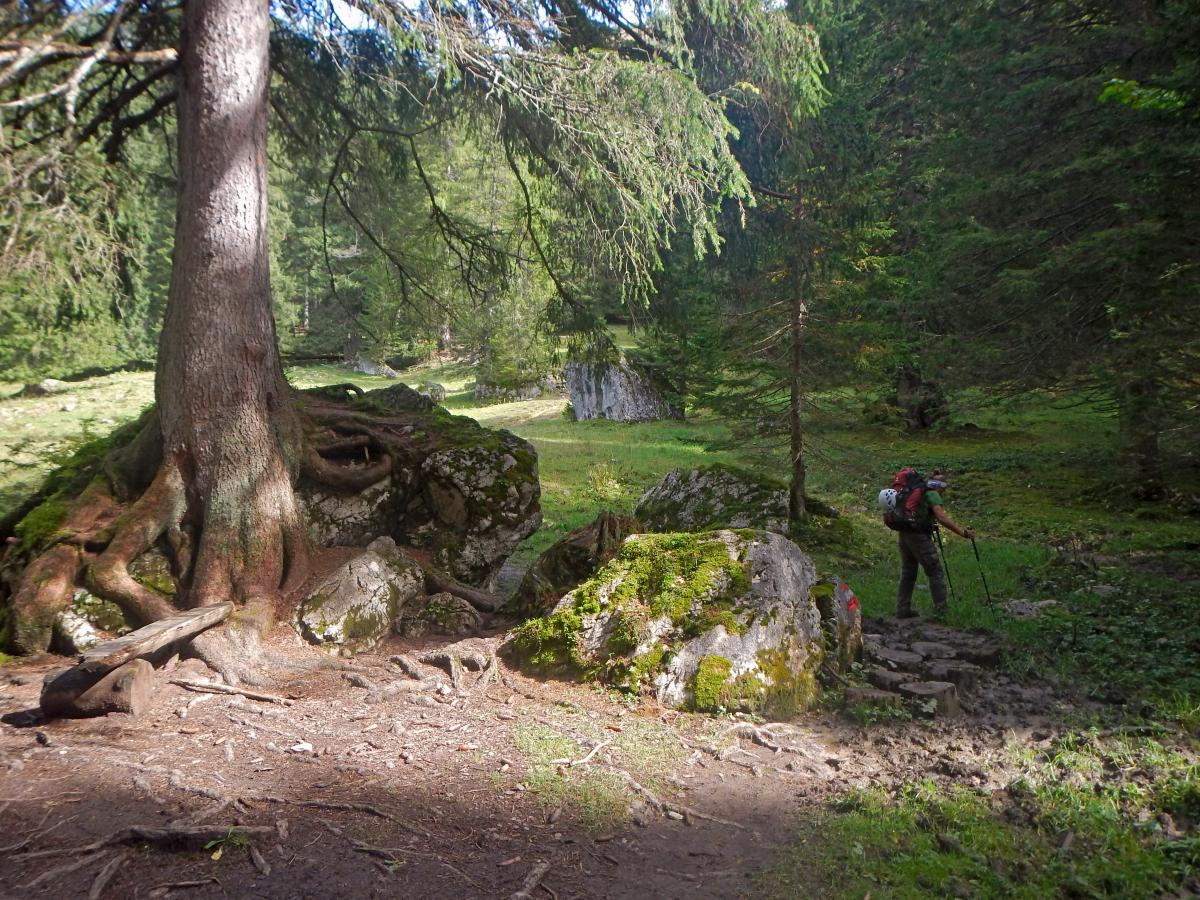 Zinödl, Hochtor (80 Bildaufrufe)