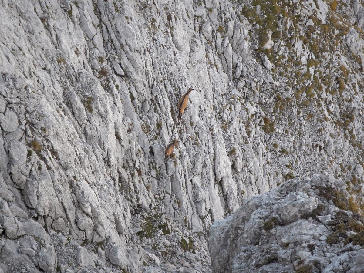 Zinödl, Hochtor (98 Bildaufrufe)