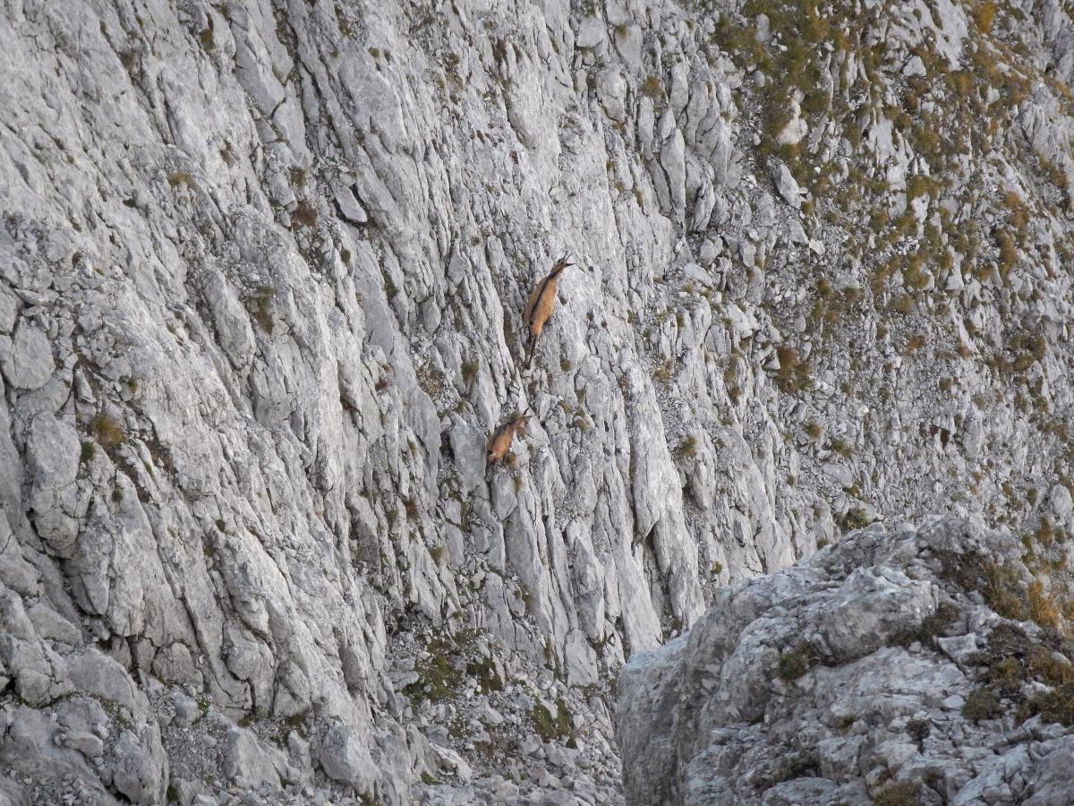 Zinödl, Hochtor (85 Bildaufrufe)