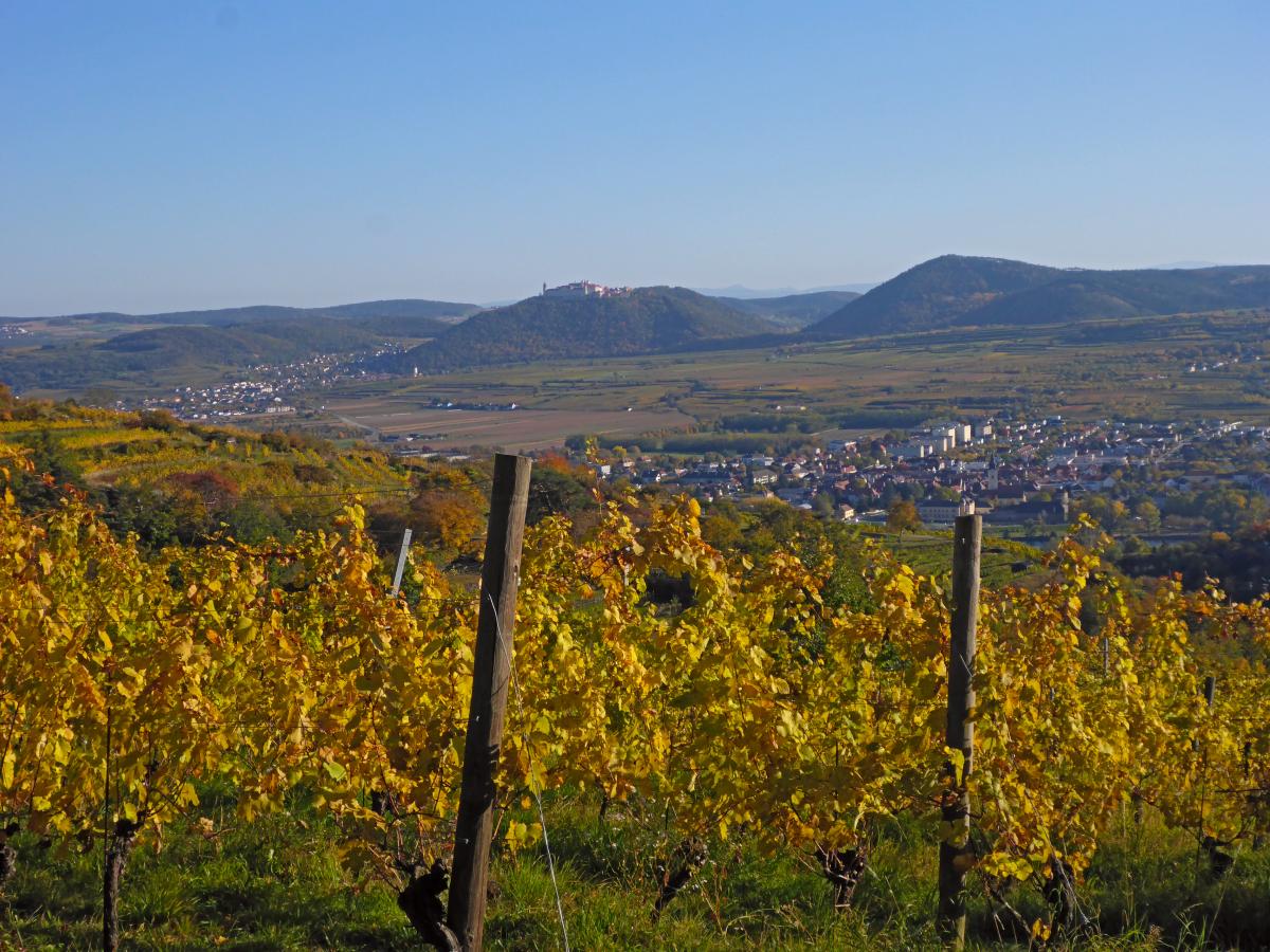 Donauwarte (40 Bildaufrufe)