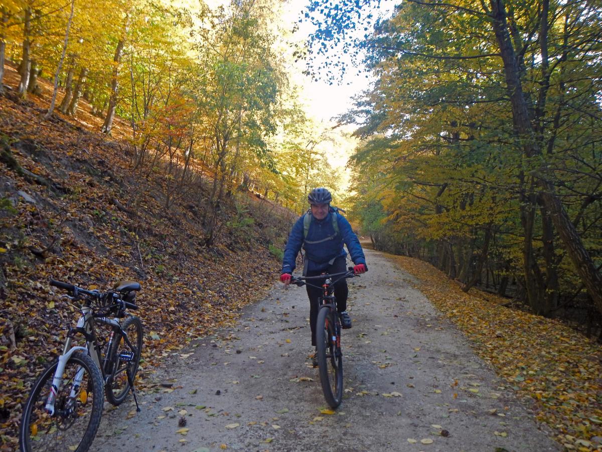 Sonnenberg (46 Bildaufrufe)