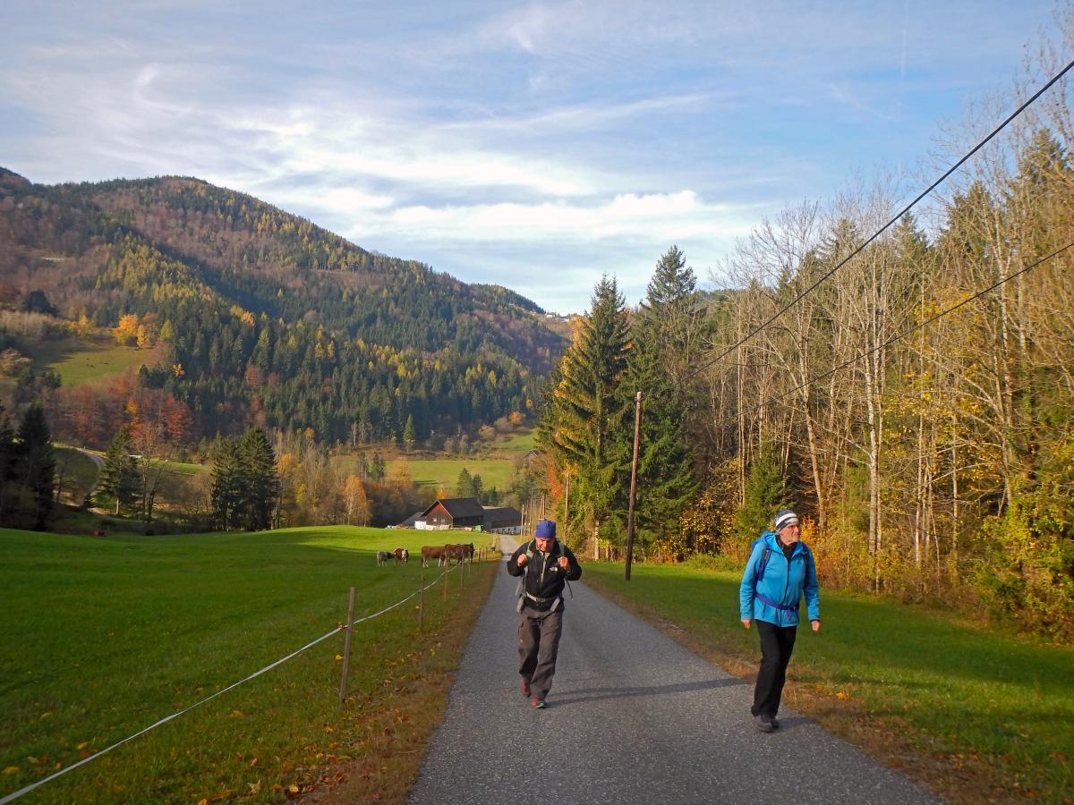 Geißenberg (65 Bildaufrufe)