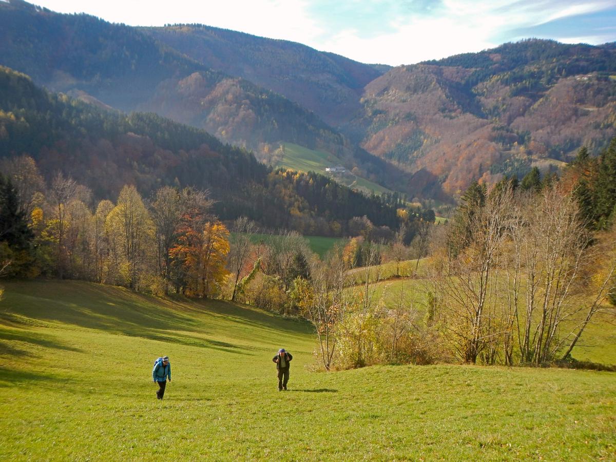 Geißenberg (68 Bildaufrufe)