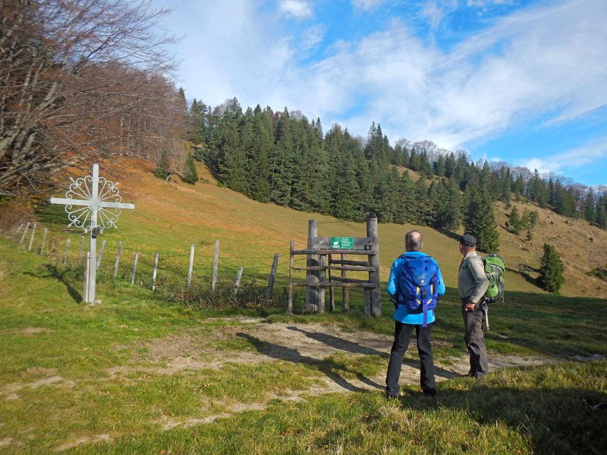 Geißenberg (67 Bildaufrufe)
