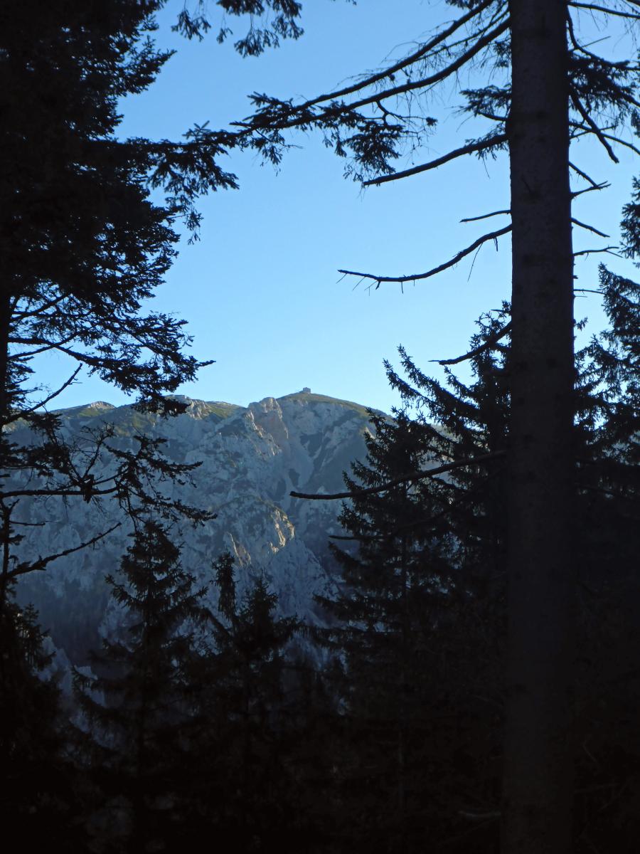 Gamseck (93 Bildaufrufe)