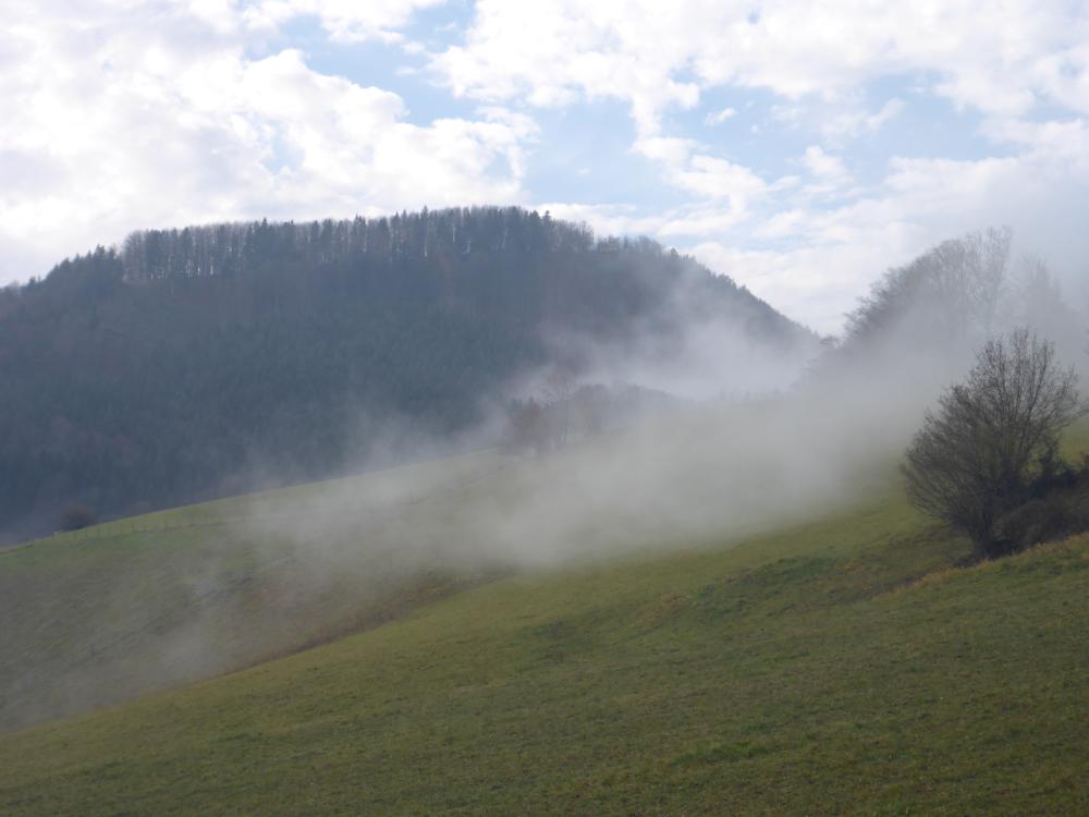 Grüntalkogel (71 Bildaufrufe)