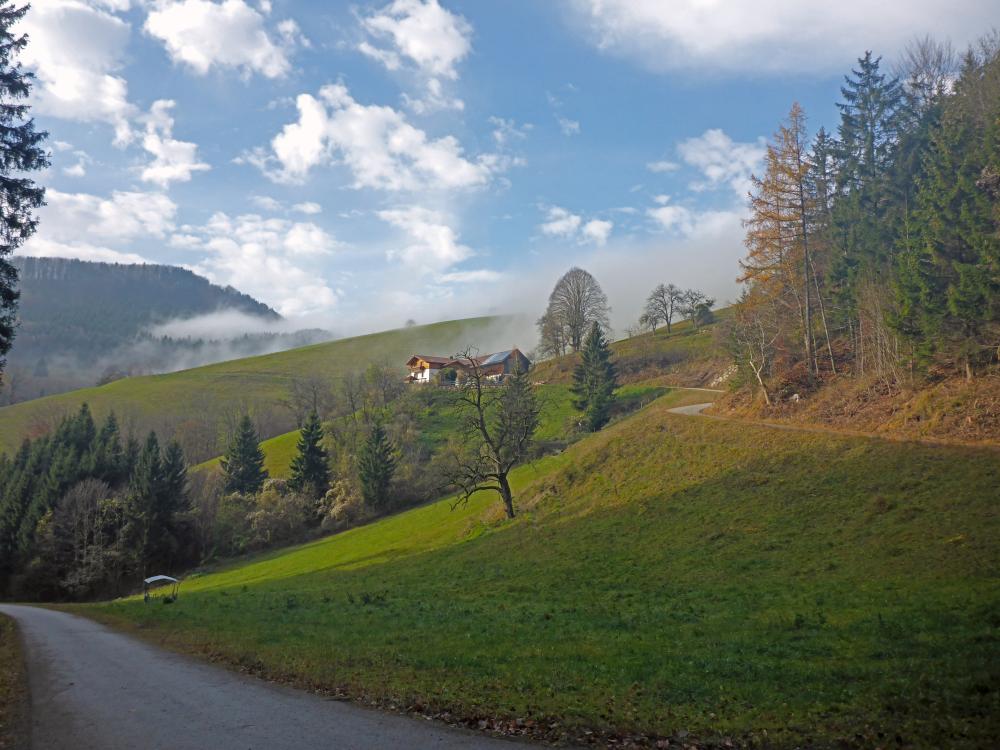 Grüntalkogel (68 Bildaufrufe)