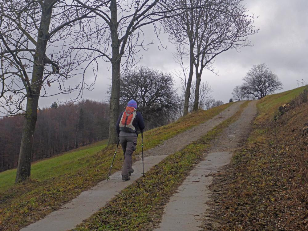 Gaisbühel (60 Bildaufrufe)