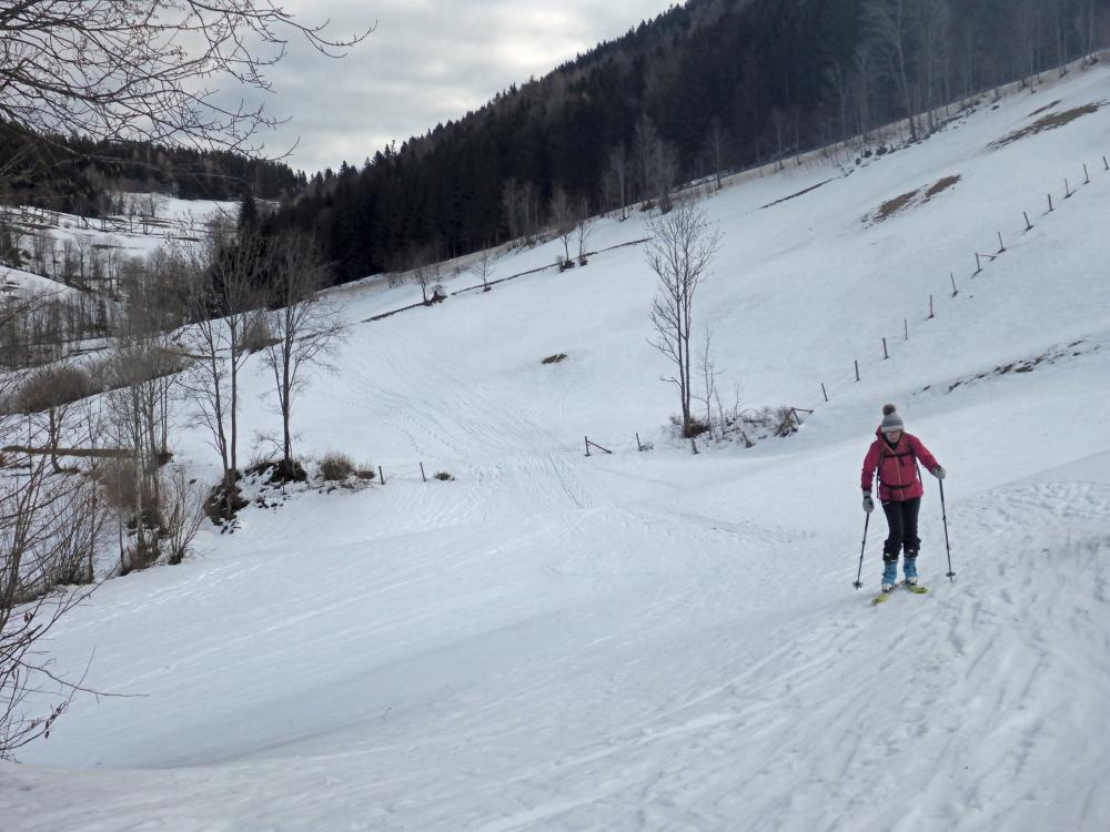 Tirolerkogel (97 Bildaufrufe)