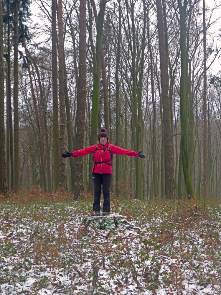 Im Hochholz (51 Bildaufrufe)