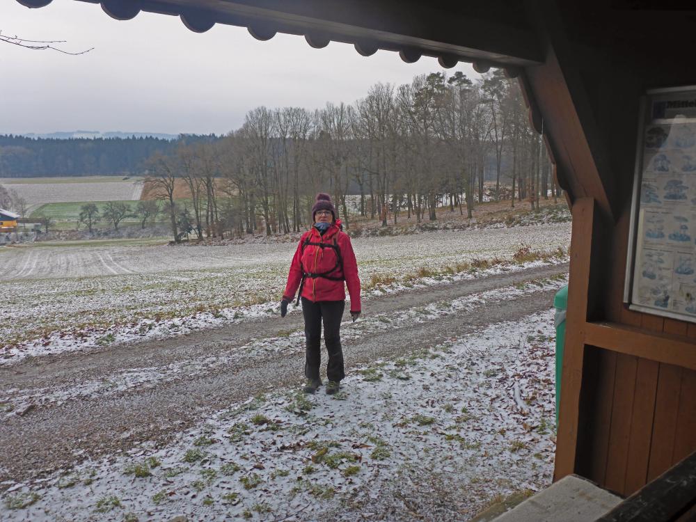 Im Hochholz (52 Bildaufrufe)