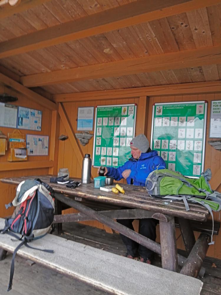 Im Hochholz (48 Bildaufrufe)