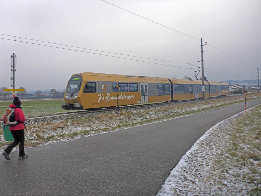 Im Hochholz (50 Bildaufrufe)