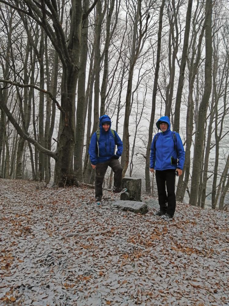 Brandleitenkogel (86 Bildaufrufe)