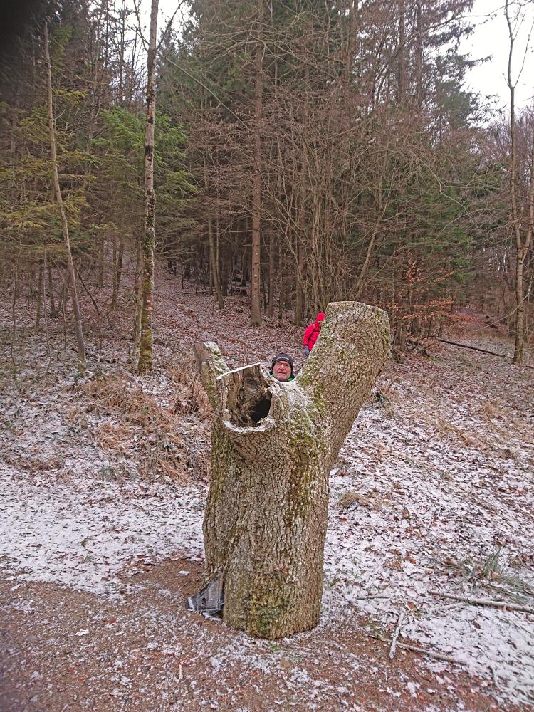 Brandleitenkogel (88 Bildaufrufe)