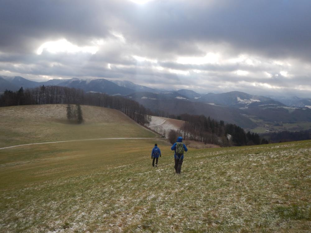 Brandleitenkogel (60 Bildaufrufe)