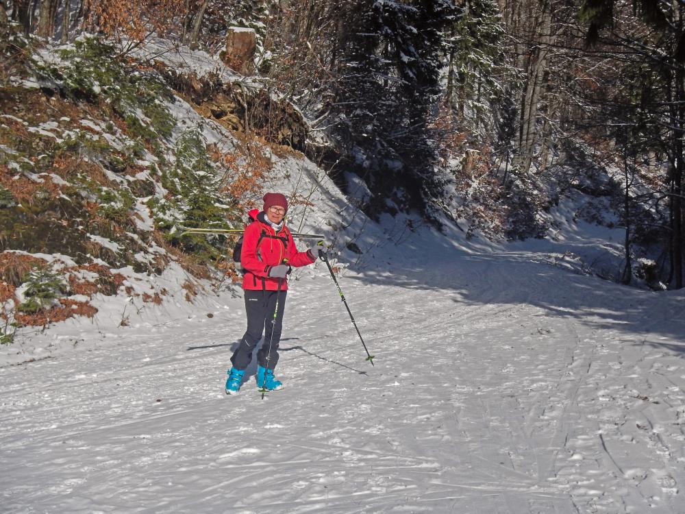 Tirolerkogel (66 Bildaufrufe)